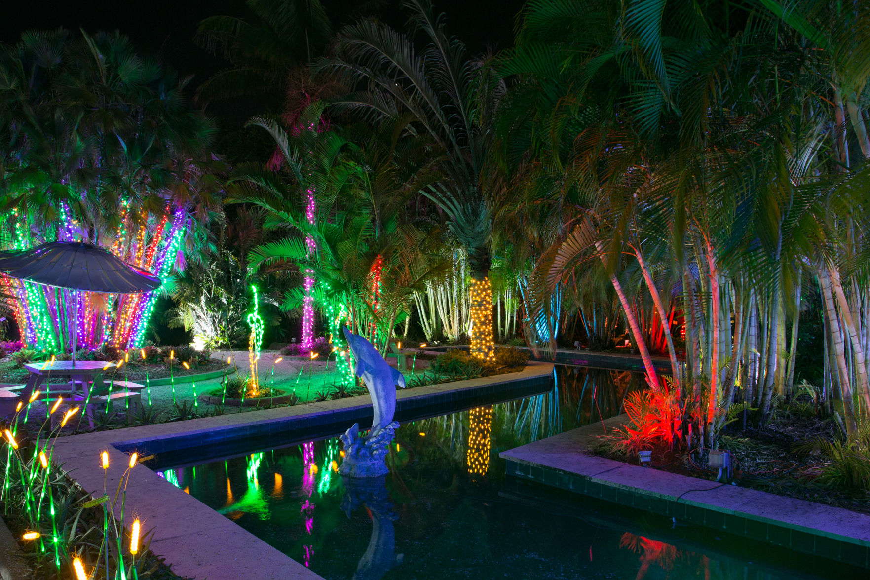 n-pc-holiday-lights-110719-2-HL.jpg